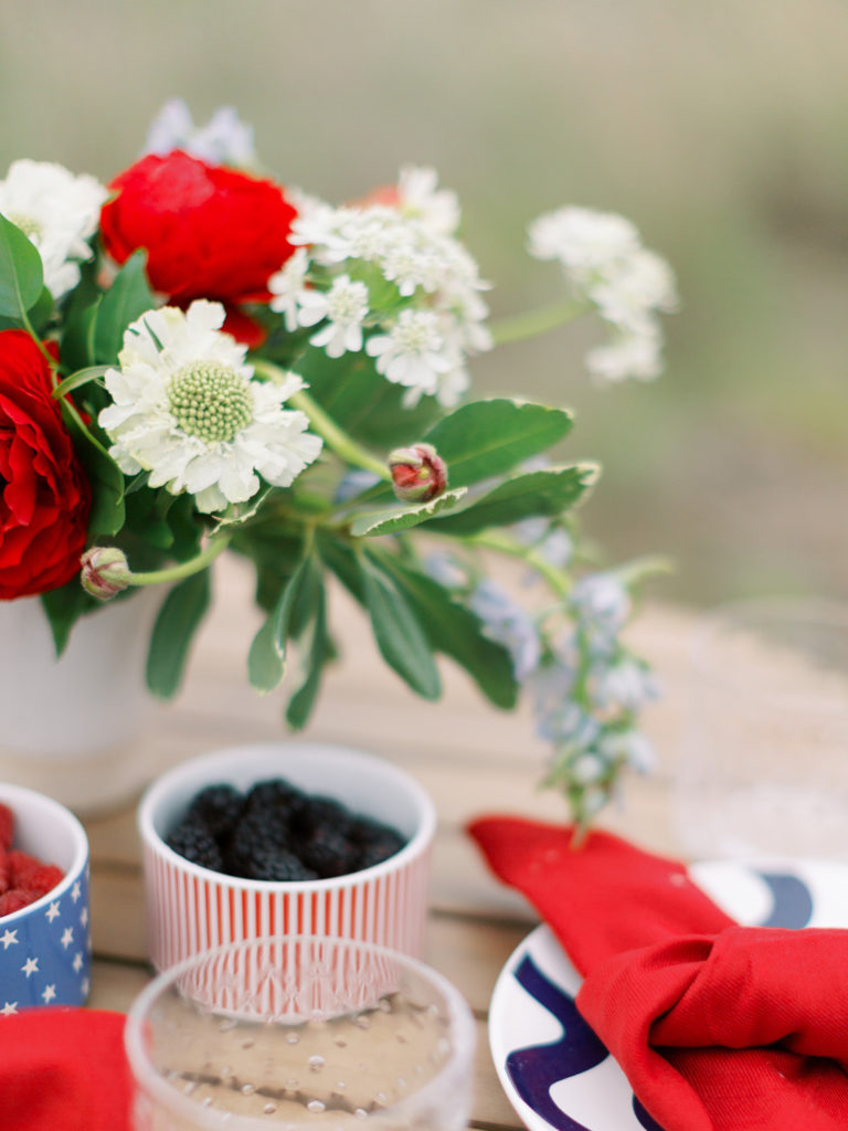 4th of July Ideas for Party - Picnic