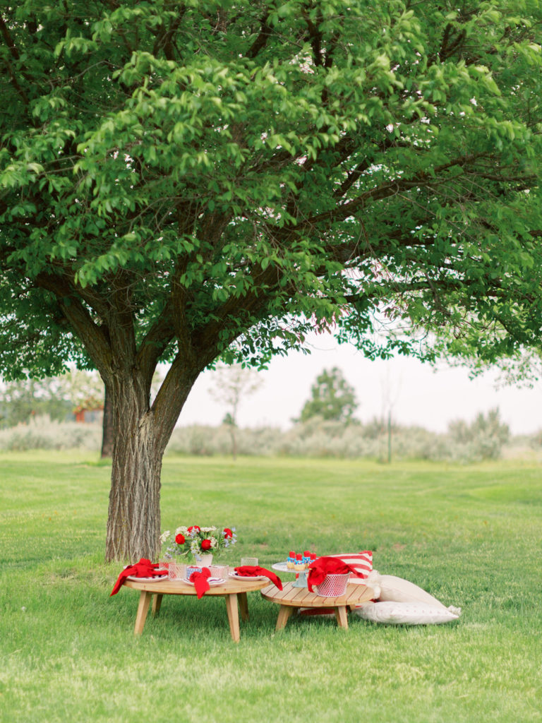 4th of July Ideas for Party - Picnic